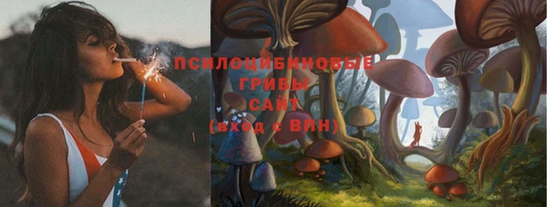 трава Нефтекумск