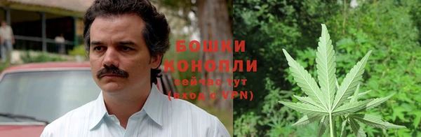 трава Нефтекумск