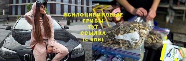 трава Нефтекумск